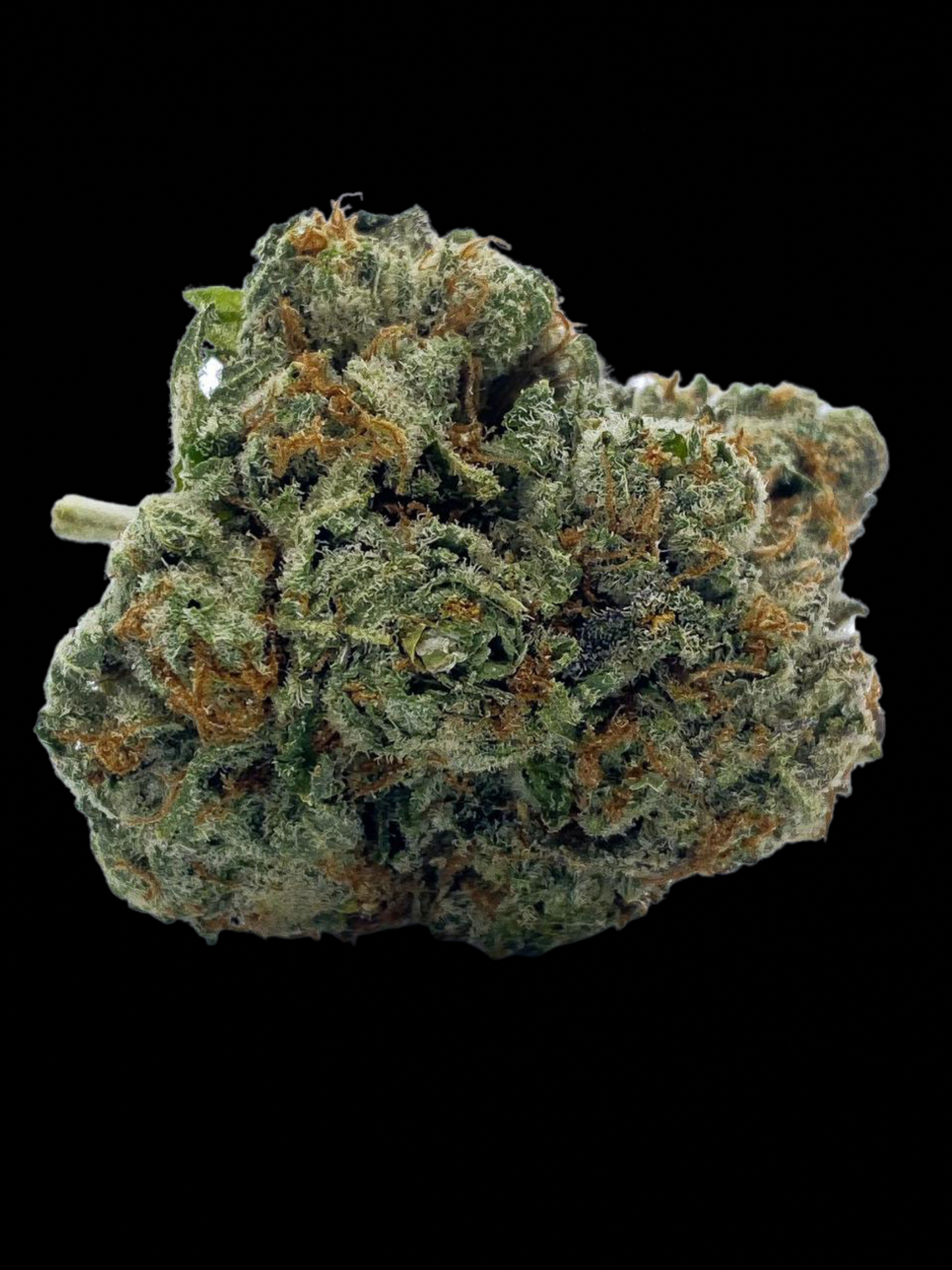 Exclusive Reserve - Mendo Breath (I)